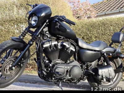 Harley-Davidson XL883N Iron 883