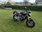 2009 Honda CB 600 F Hornet