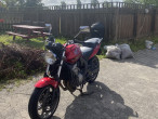 2009 Honda CBF 600 N