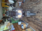2009 Honda VFR 800 F 2009 Honda VFR 800 F