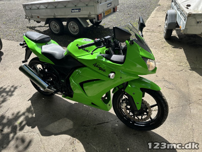 Kawasaki Ninja 250 R
