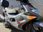 2009 PGO T-Rex 150