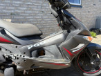 2009 PGO T-Rex 150
