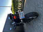 2009 Triumph Tiger 1050