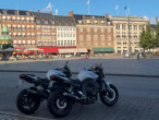 2009 Yamaha FZ1 N 2009 Yamaha FZ1 N
