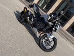 2009 Yamaha FZ1 N 2009 Yamaha FZ1 N