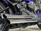 2010 Harley-Davidson FLSTF Fat Boy