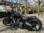 2010 Harley-Davidson FLSTF Fat Boy