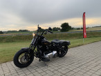 2010 Harley-Davidson FLSTSB Softail Cross Bones