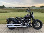 2010 Harley-Davidson FLSTSB Softail Cross Bones