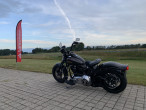 2010 Harley-Davidson FLSTSB Softail Cross Bones