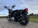 2010 Harley-Davidson FLSTSB Softail Cross Bones