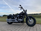 2010 Harley-Davidson FLSTSB Softail Cross Bones