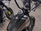 2010 Harley-Davidson FLSTSB Softail Cross Bones