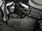 2010 Harley-Davidson FXDB Street Bob