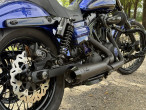 2010 Harley-Davidson FXDWG Dyna Wide Glide 2010 Harley-Davidson FXDWG Dyna Wide Glide