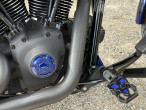 2010 Harley-Davidson FXDWG Dyna Wide Glide 2010 Harley-Davidson FXDWG Dyna Wide Glide