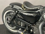 2010 Harley-Davidson XL1200X Forty Eight