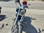 2010 Harley-Davidson XL883C Sportster Custom