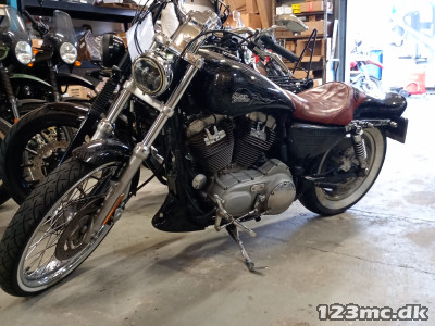 Harley-Davidson XL883C Sportster Custom
