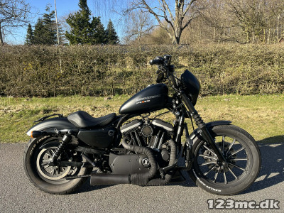 Harley-Davidson XL883N Iron 883