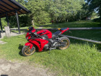 2010 Honda CBR 1000 RR Fireblade