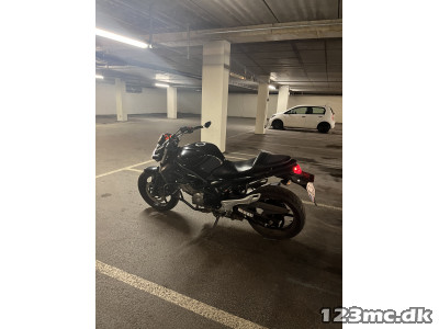 Suzuki SFV 650 Gladius