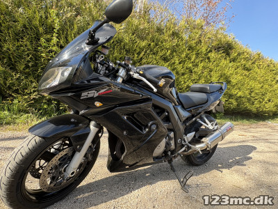 Suzuki SV 1000 S