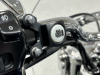 2010 Triumph Thunderbird
