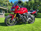 2010 Yamaha FZ1