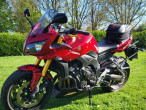 2010 Yamaha FZ1