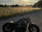 2011 Harley-Davidson XL1200X Forty Eight