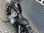 2011 Harley-Davidson XL883C Sportster Custom