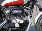 2011 Harley-Davidson XL883L