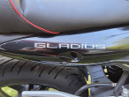 2011 Suzuki SFV 650 Gladius 2011 Suzuki SFV 650 Gladius