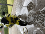 2011 Suzuki SV 650 S 2011 Suzuki SV 650 S