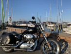 2012 Harley-Davidson XL883C Sportster 2012 Harley-Davidson XL883C Sportster