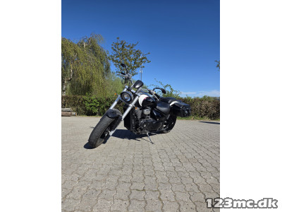 Suzuki VZ 800 Intruder