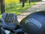 2013 Harley-Davidson XL883N Iron 883 2013 Harley-Davidson XL883N Iron 883