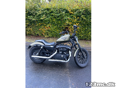 Harley-Davidson XL883N Iron 883