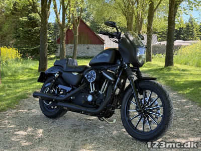 Harley-Davidson XL883N Iron 883