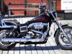 2014 Harley-Davidson FXDL Dyna Low Rider
