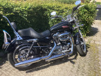 2014 Harley-Davidson XL1200T