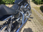 2014 Harley-Davidson XL1200T