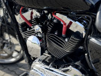 2014 Harley-Davidson XL1200T 2014 Harley-Davidson XL1200T