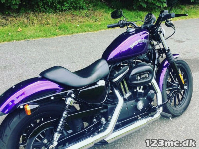 Harley-Davidson XL883C Sportster