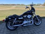2014 Harley-Davidson XL883L