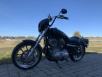 2014 Harley-Davidson XL883L