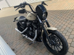 2014 Harley-Davidson XL883N Iron 883