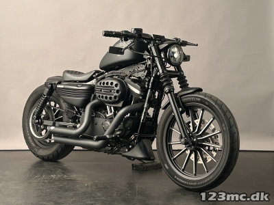 Harley-Davidson XL883N Iron 883